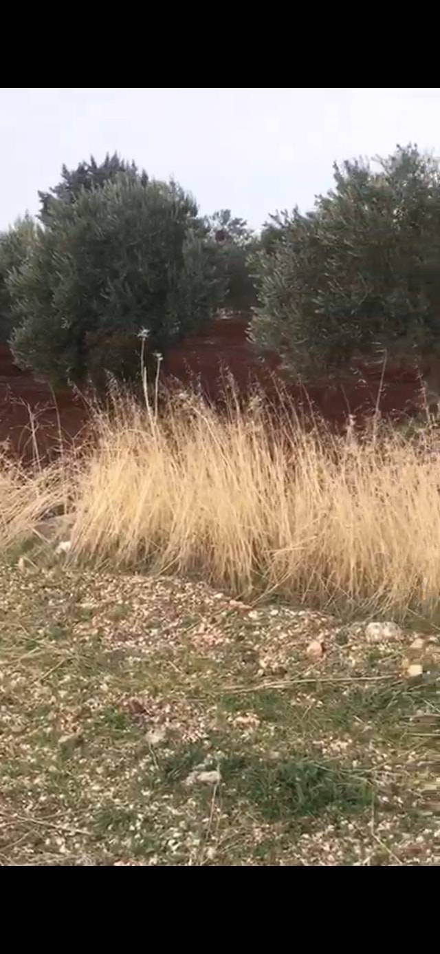 Oğuzeli İkizkuyu Köyü Resimleri 6