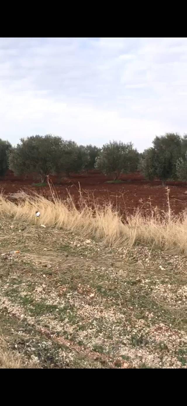 Oğuzeli İkizkuyu Köyü Resimleri 7