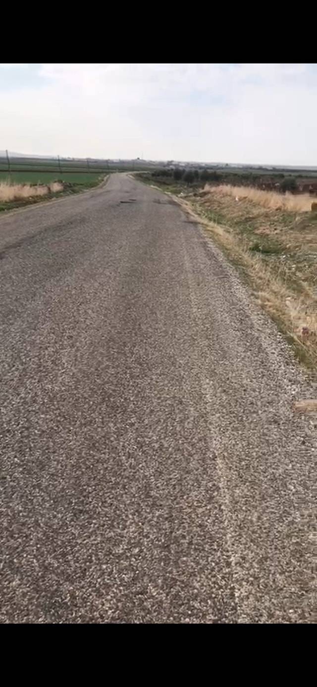 Oğuzeli İkizkuyu Köyü Resimleri 8