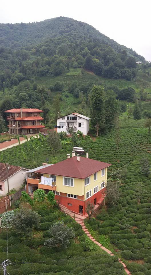 Güneysu Yeşilyurt Köyü Resimleri 2