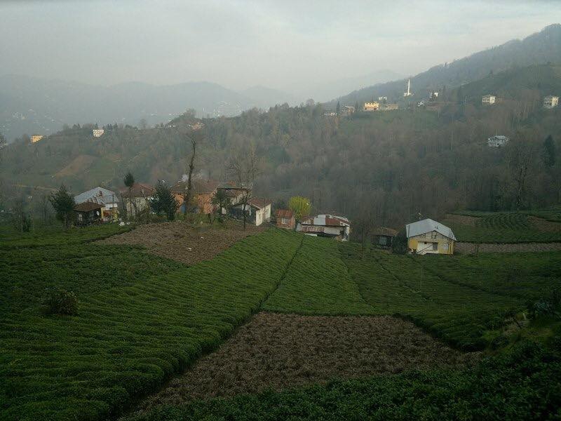 Güneysu Yeşilyurt Köyü Resimleri 3