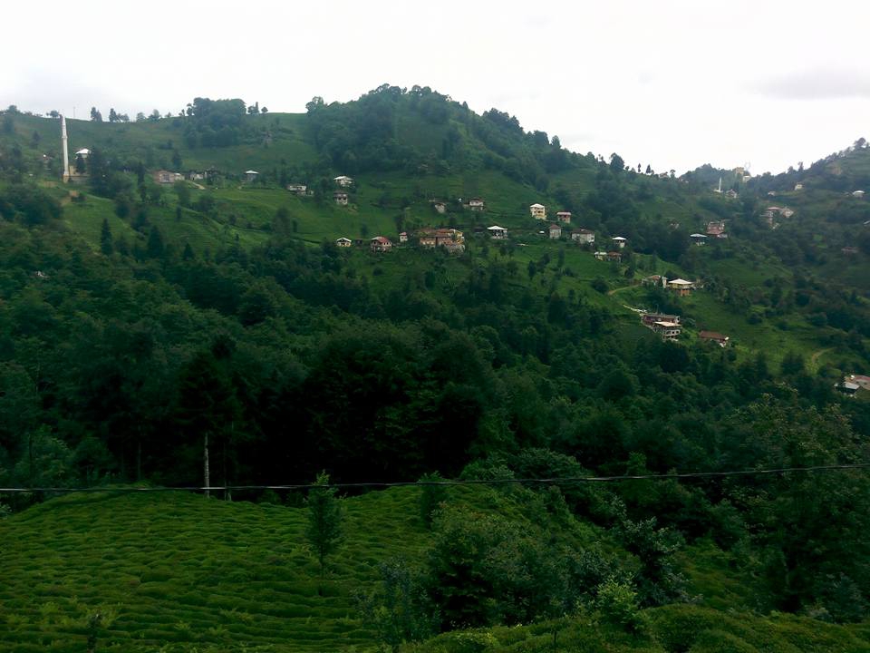 Güneysu Yeşilyurt Köyü Resimleri 4
