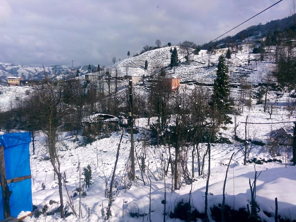 Güneysu Yeşilyurt Köyü Resimleri 6