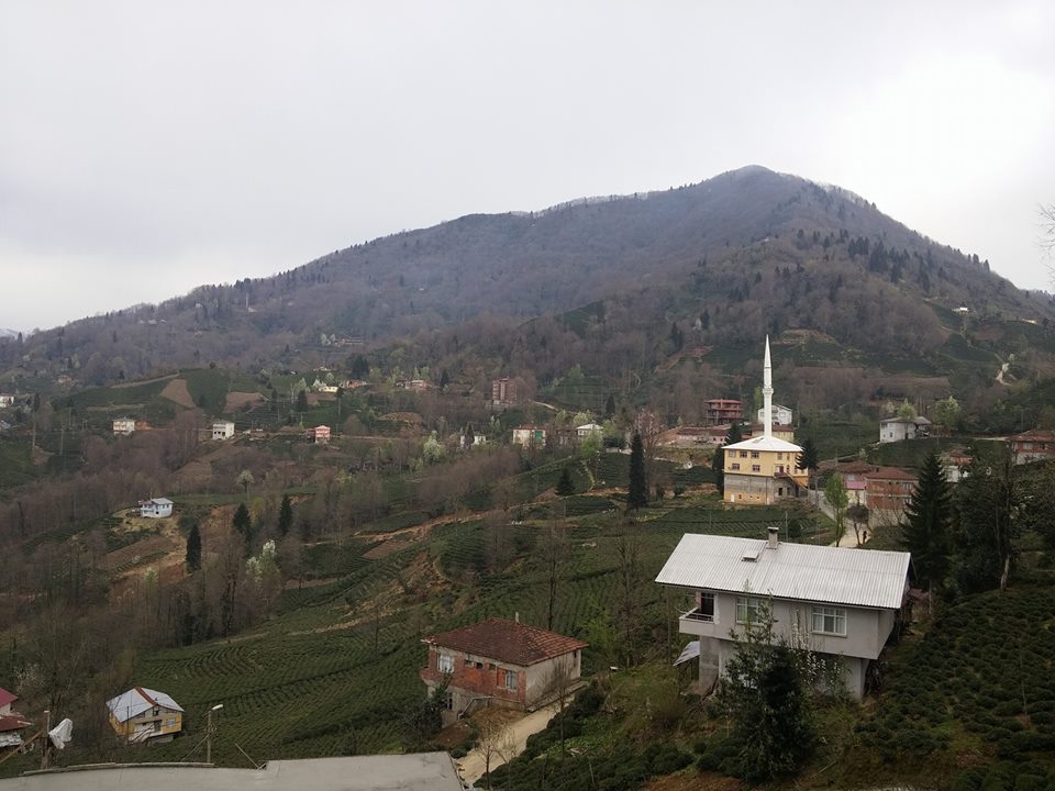 Güneysu Yeşilyurt Köyü Resimleri 7