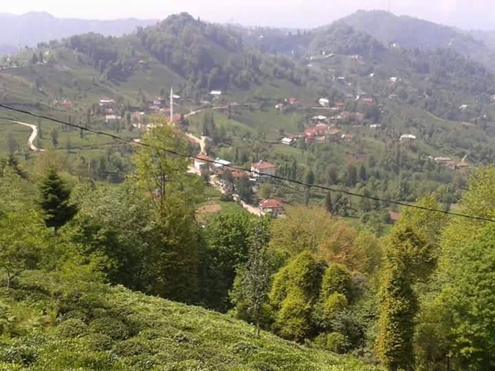 Güneysu Yeşilyurt Köyü Resimleri 8