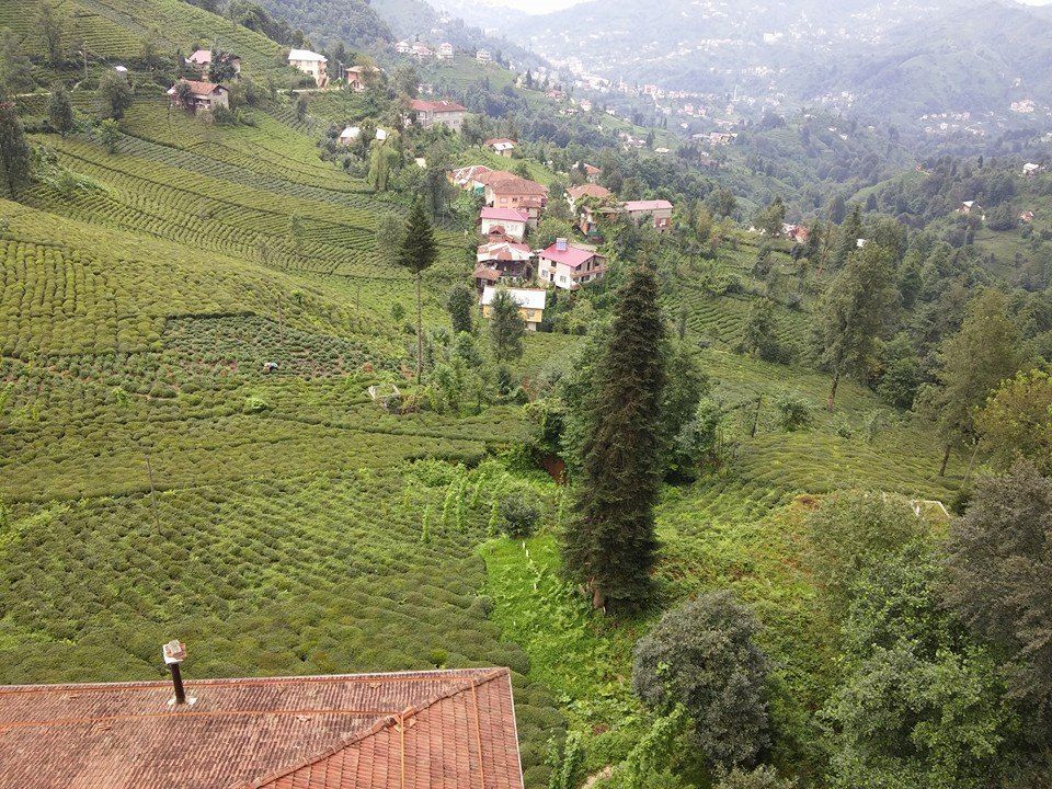 Güneysu Yeşilyurt Köyü Resimleri 9