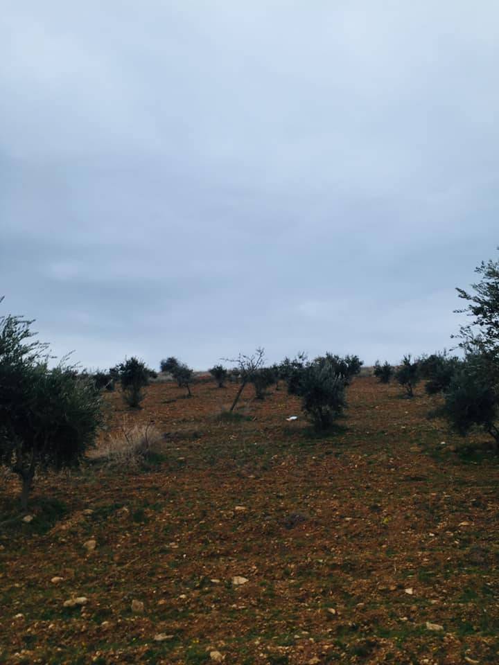 Oğuzeli Karataş Köyü Resimleri 4