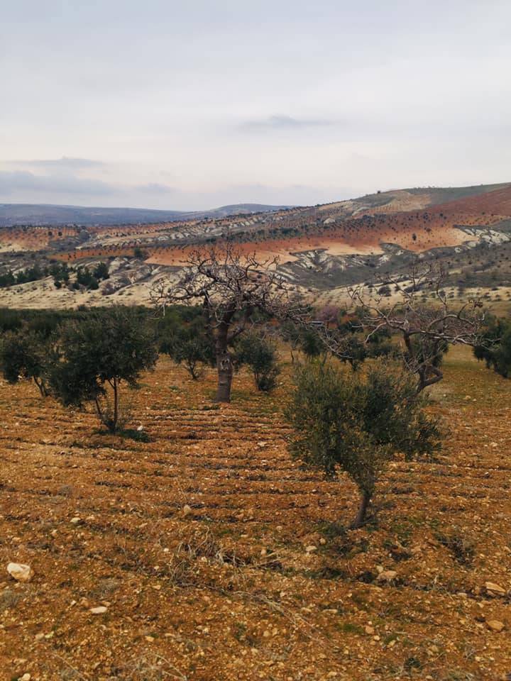 Oğuzeli Karataş Köyü Resimleri 5