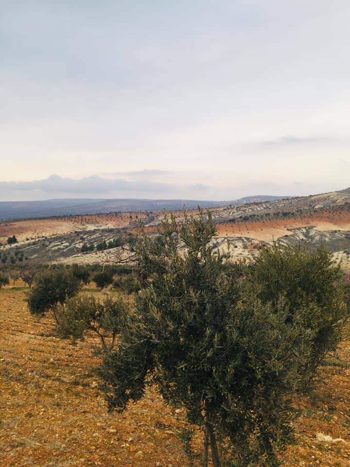 Oğuzeli Karataş Köyü Resimleri 6