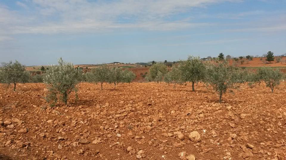 Oğuzeli Kavunluk Köyü Resimleri 3
