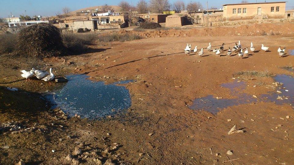 Harran Arın  Köyü Resimleri 1