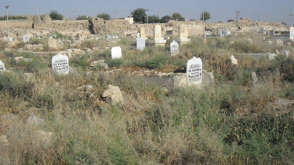 Harran Arın  Köyü Resimleri 2