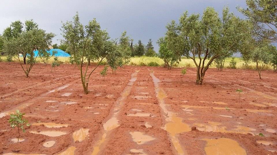 Oğuzeli Kılavuz Köyü Resimleri 2