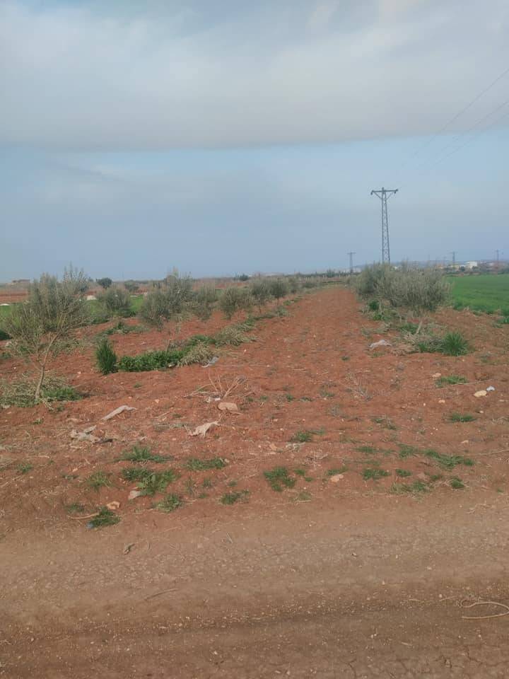 Oğuzeli Körkün Köyü Resimleri 5