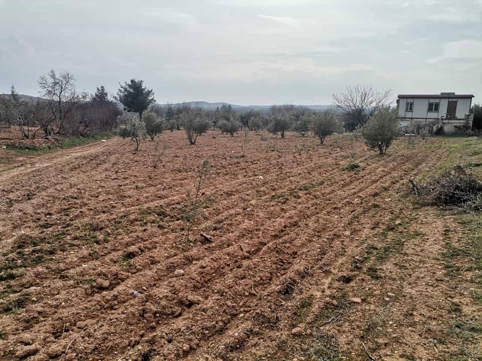 Oğuzeli Kurtuluş Köyü Resimleri 6