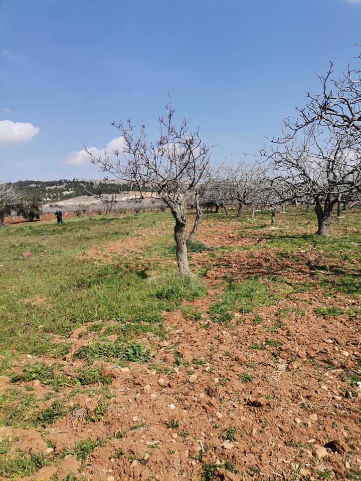 Oğuzeli Kurtuluş Köyü Resimleri 7
