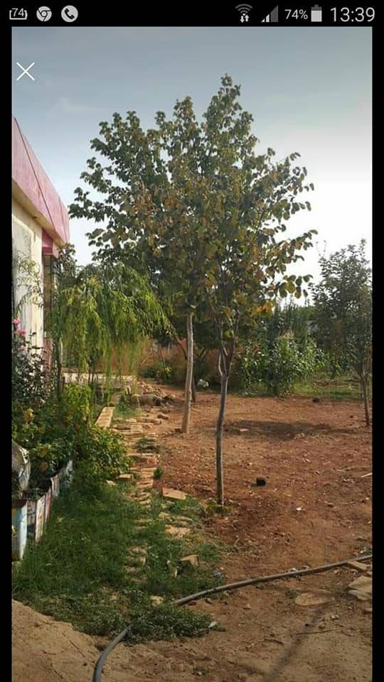 Oğuzeli Sazgın Köyü Resimleri 4