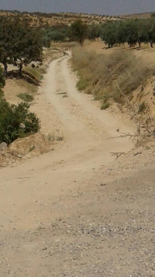 Oğuzeli Sergili Köyü Resimleri 1