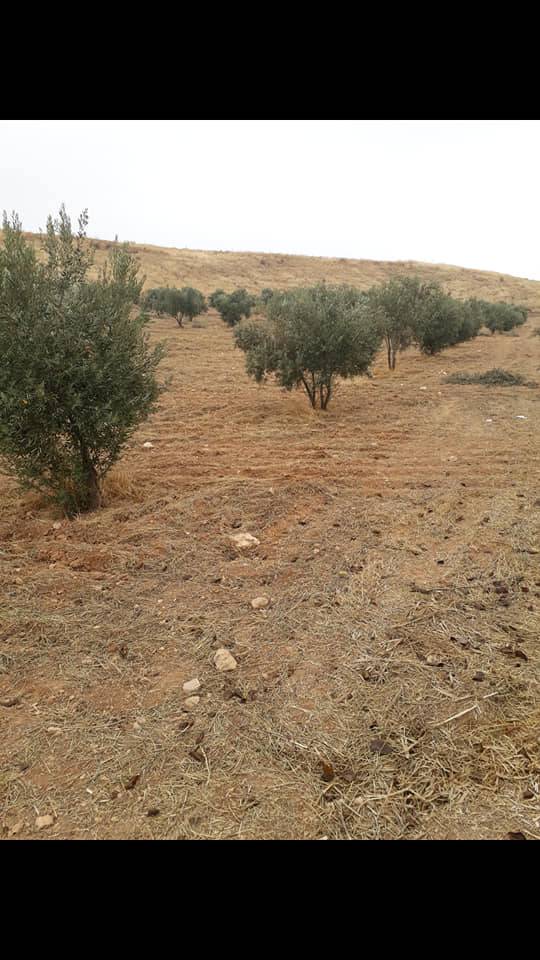 Oğuzeli Sergili Köyü Resimleri 6