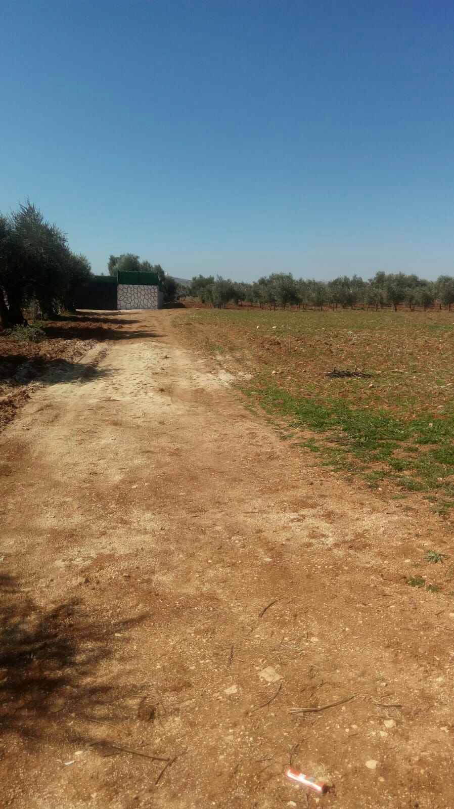 Oğuzeli Subaşı Köyü Resimleri 11