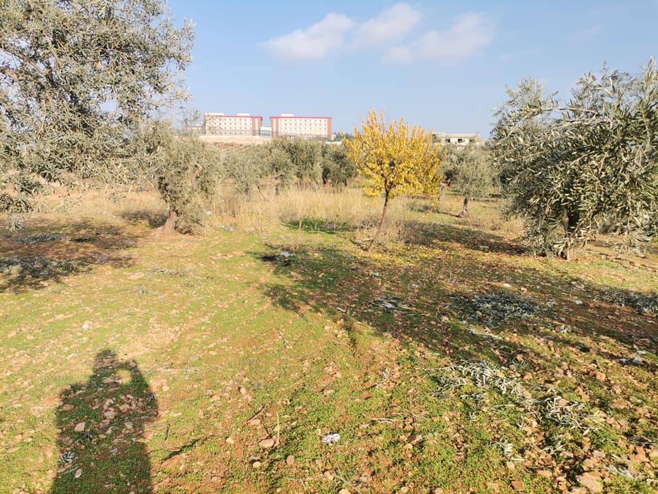 Oğuzeli Subaşı Köyü Resimleri 12