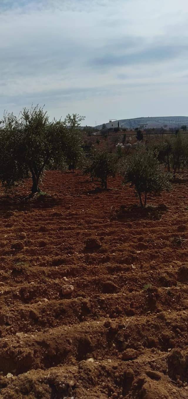 Oğuzeli Subaşı Köyü Resimleri 7