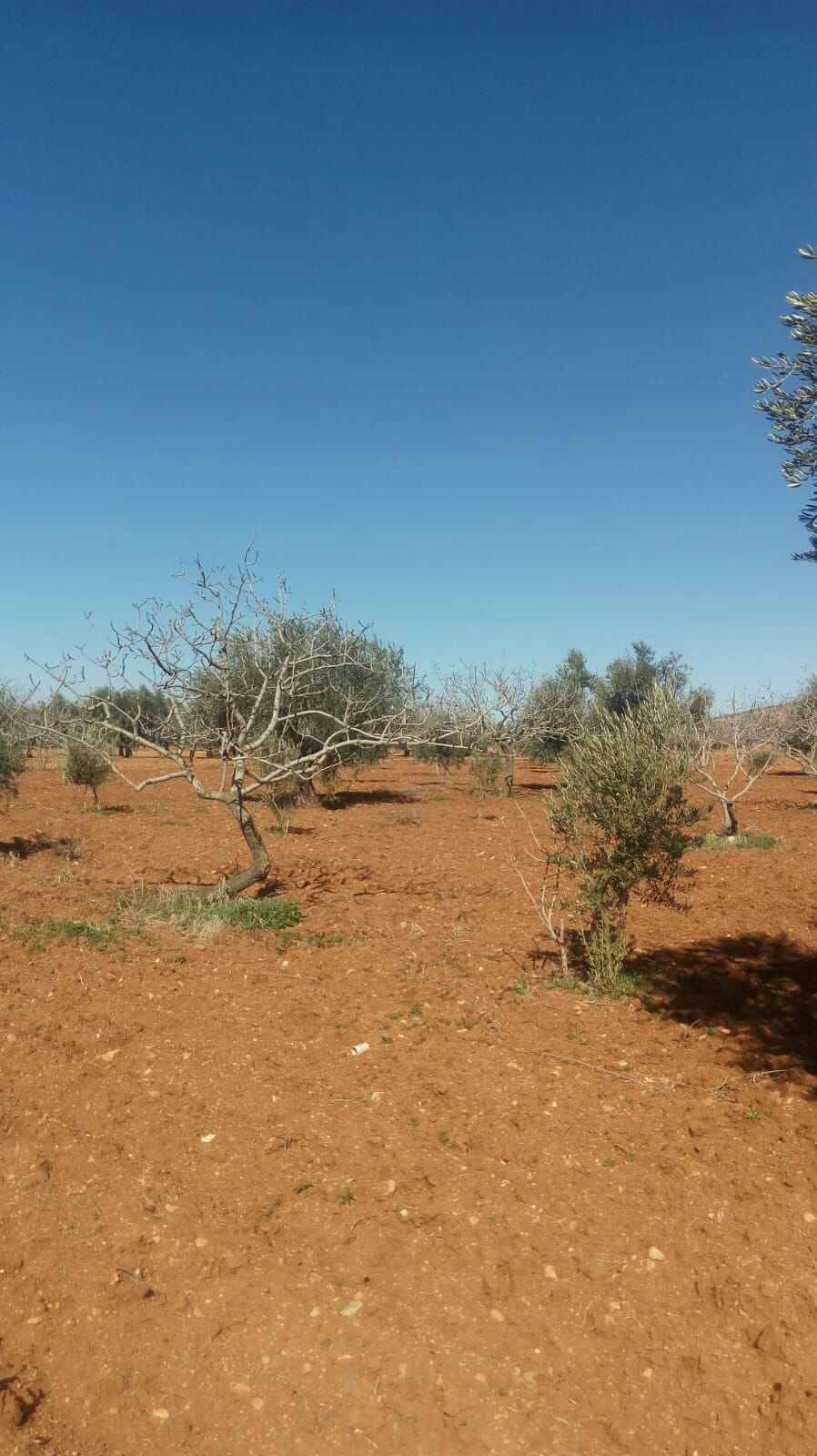 Oğuzeli Subaşı Köyü Resimleri 8