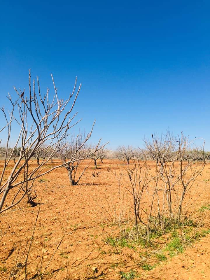 Oğuzeli Subaşı Köyü Resimleri 9
