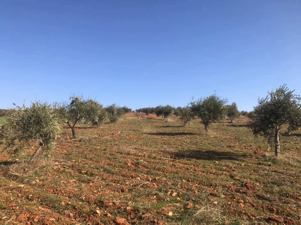 Oğuzeli Tınazdere Köyü Resimleri 1