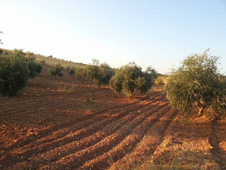 Oğuzeli Tınazdere Köyü Resimleri 10