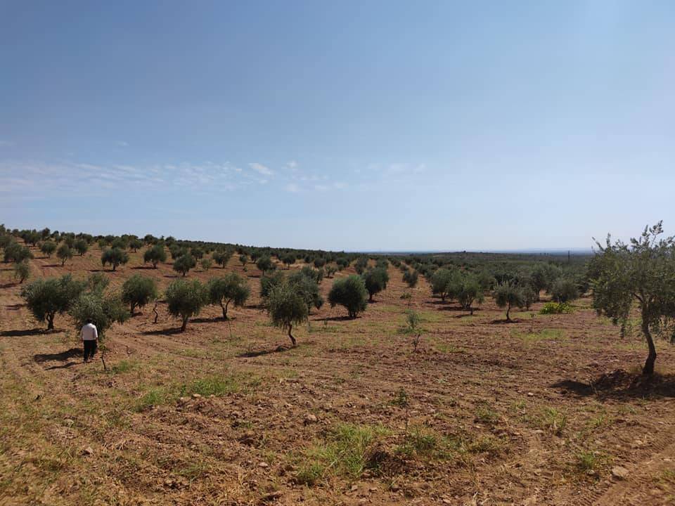 Oğuzeli Tınazdere Köyü Resimleri 11