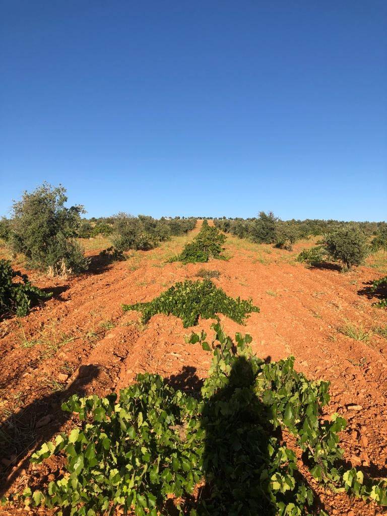 Oğuzeli Tınazdere Köyü Resimleri 12