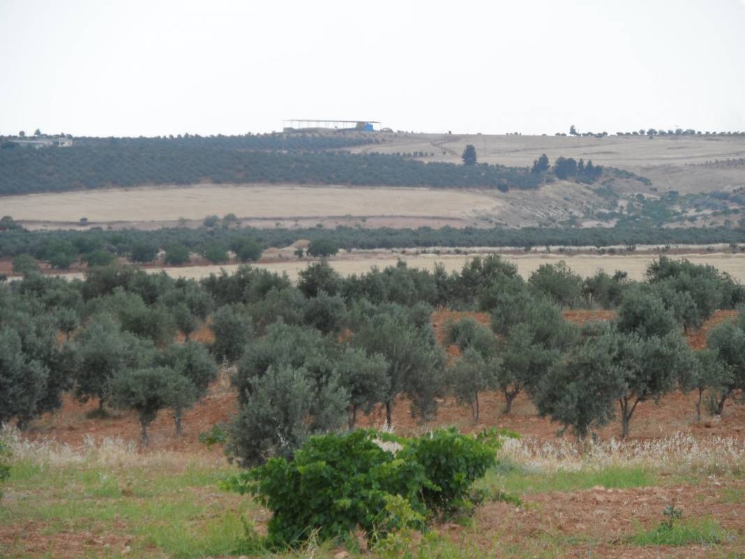 Oğuzeli Tınazdere Köyü Resimleri 13