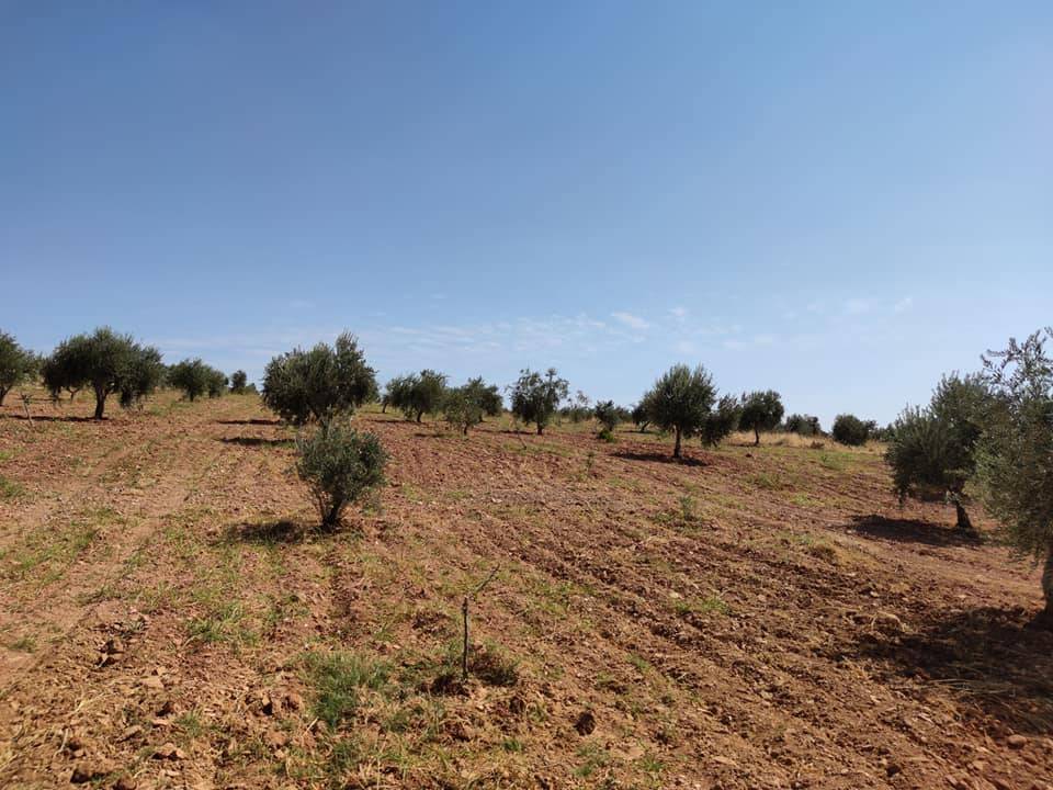 Oğuzeli Tınazdere Köyü Resimleri 2