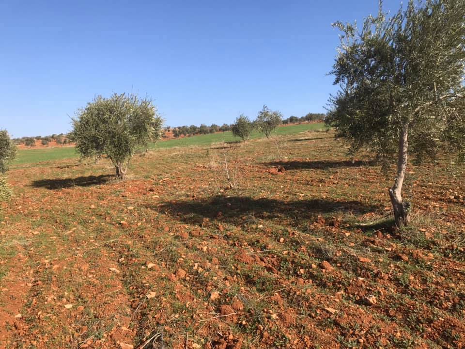 Oğuzeli Tınazdere Köyü Resimleri 3