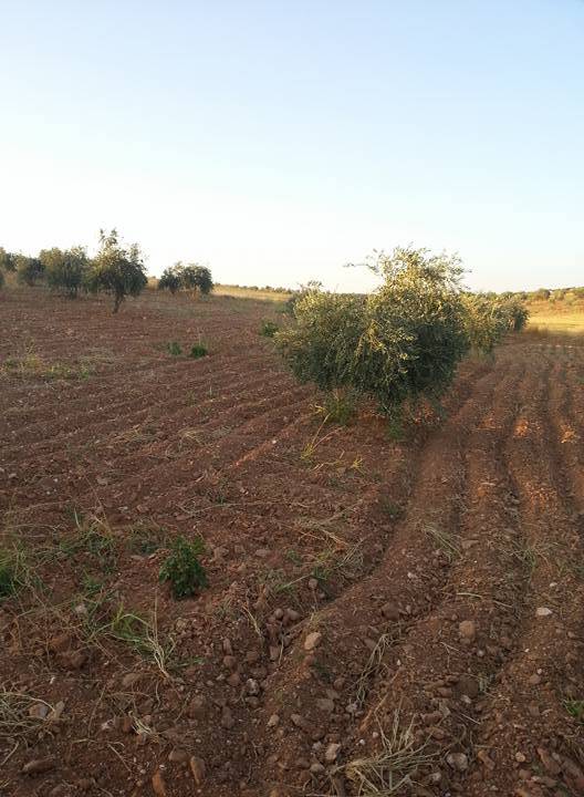 Oğuzeli Tınazdere Köyü Resimleri 4