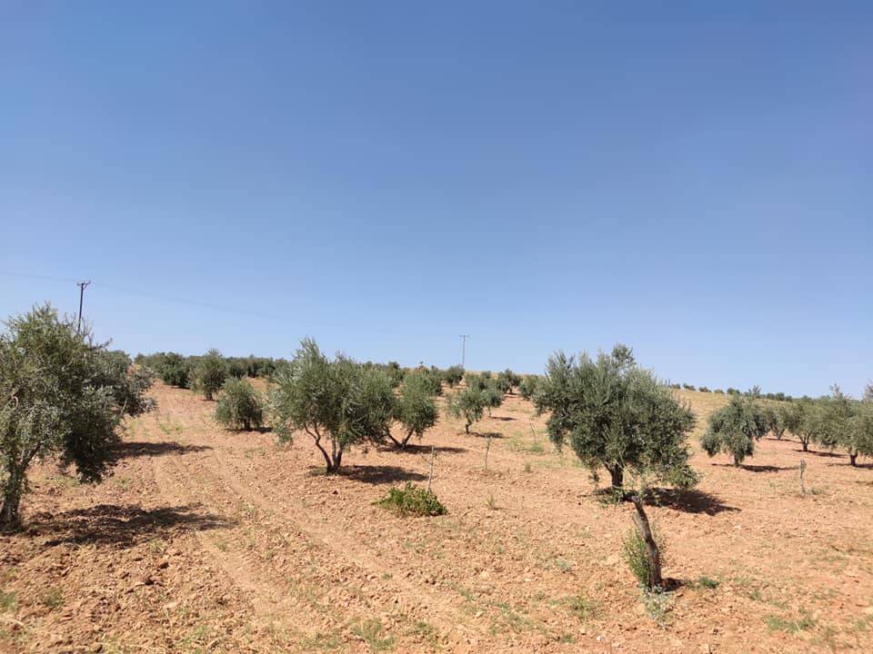 Oğuzeli Tınazdere Köyü Resimleri 5