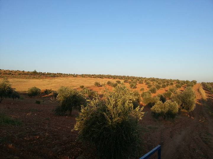 Oğuzeli Tınazdere Köyü Resimleri 7