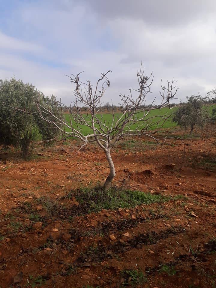 Oğuzeli Tınazdere Köyü Resimleri 8