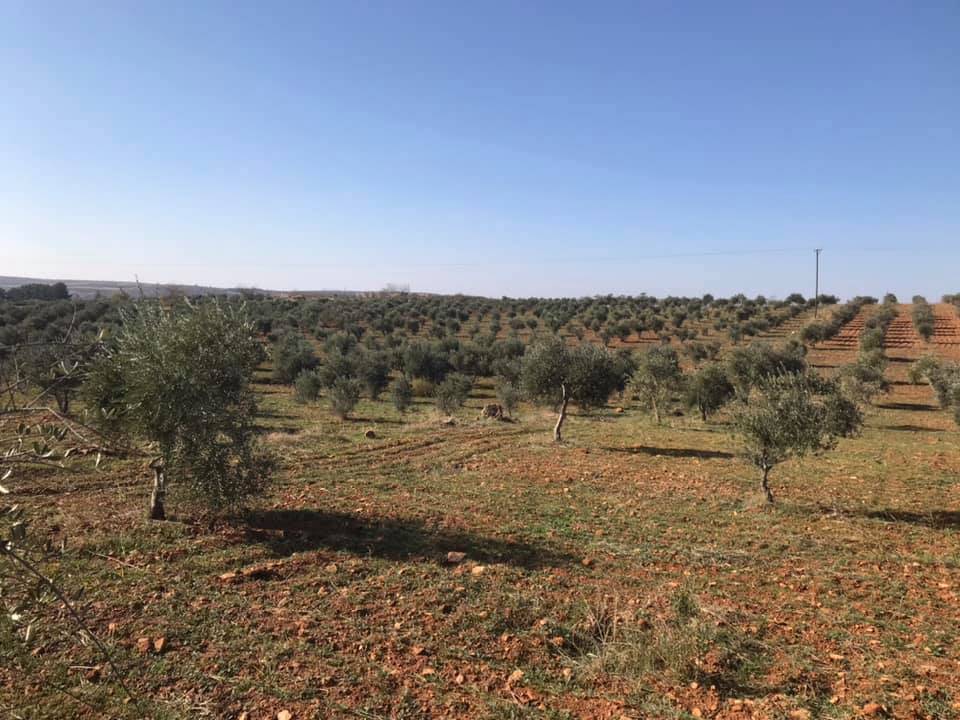 Oğuzeli Tınazdere Köyü Resimleri 9