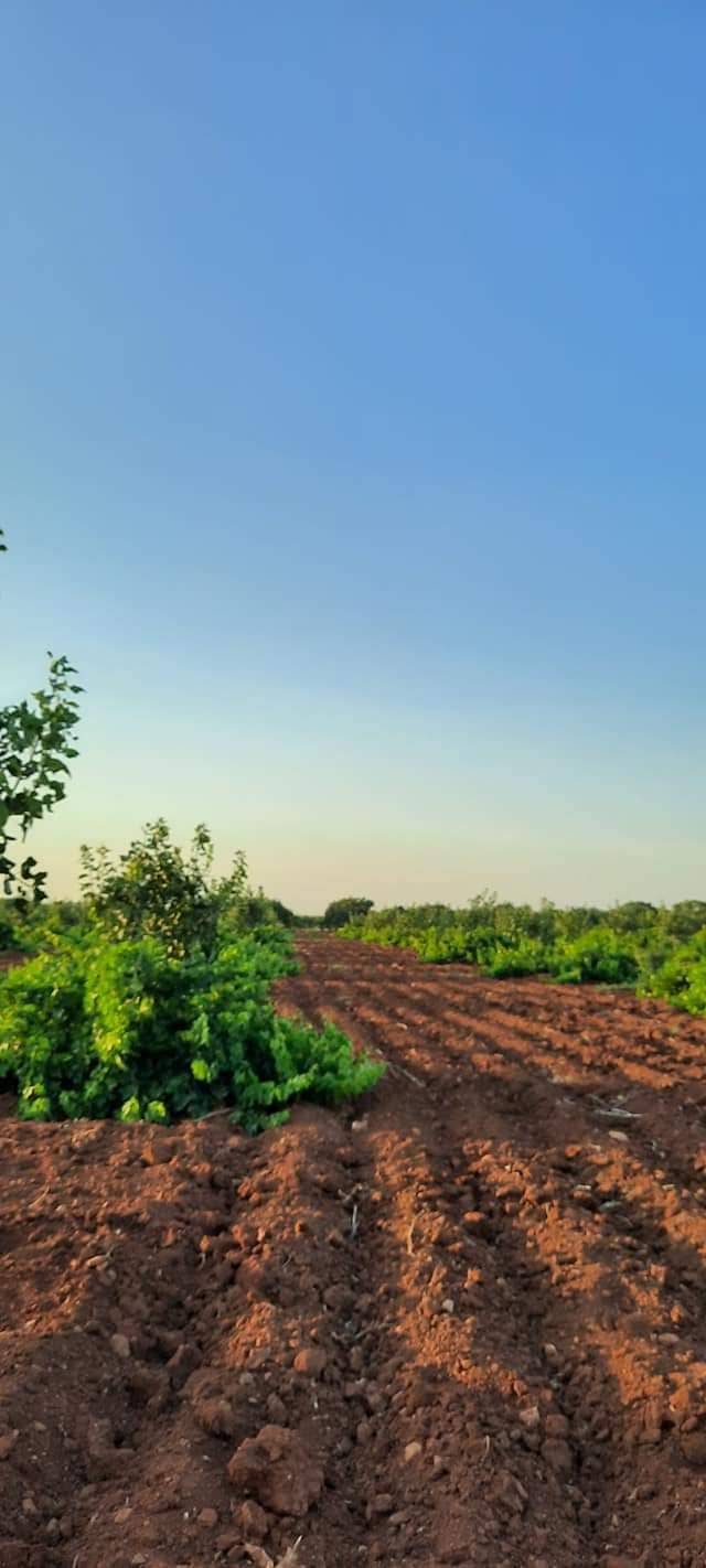 Oğuzeli Uğurova Köyü Resimleri 5