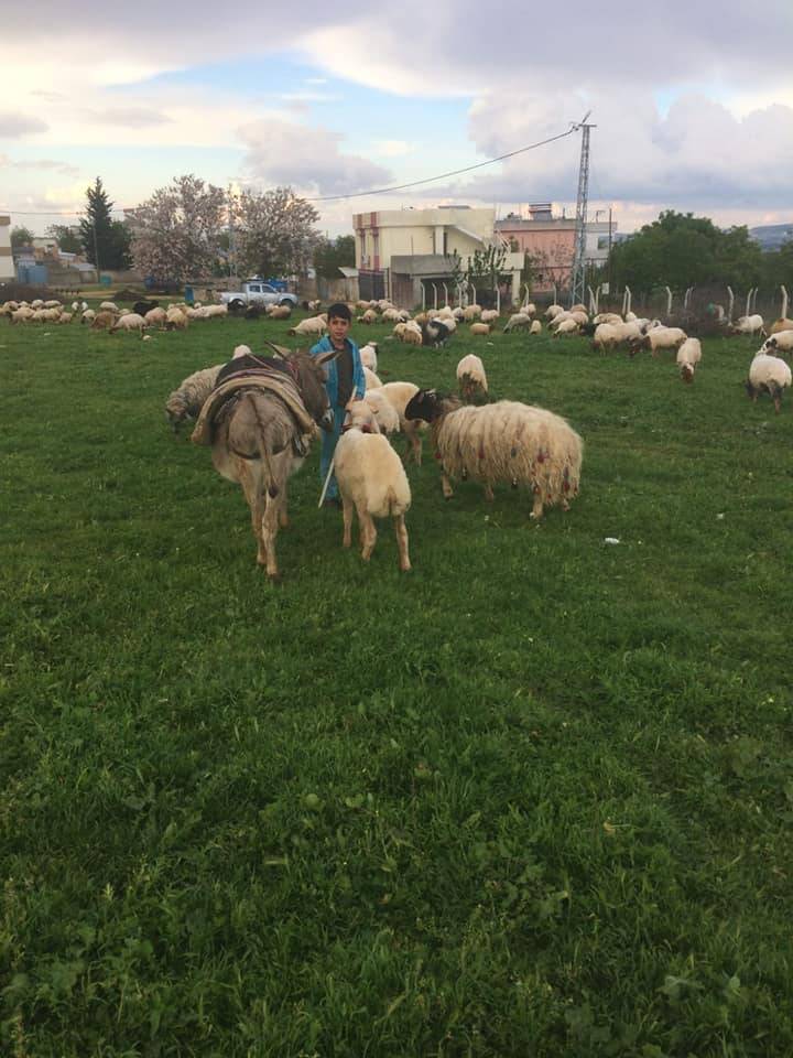 Oğuzeli Yazılı Köyü Resimleri 3