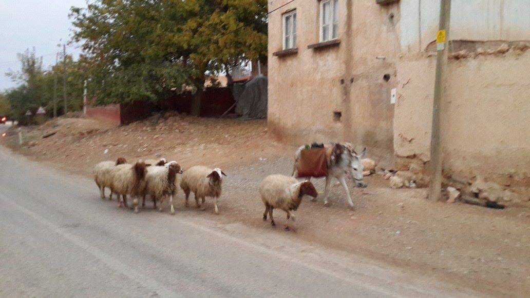 Oğuzeli Yakacık Köyü Resimleri 1