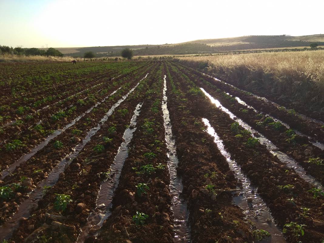 Oğuzeli Yakacık Köyü Resimleri 12
