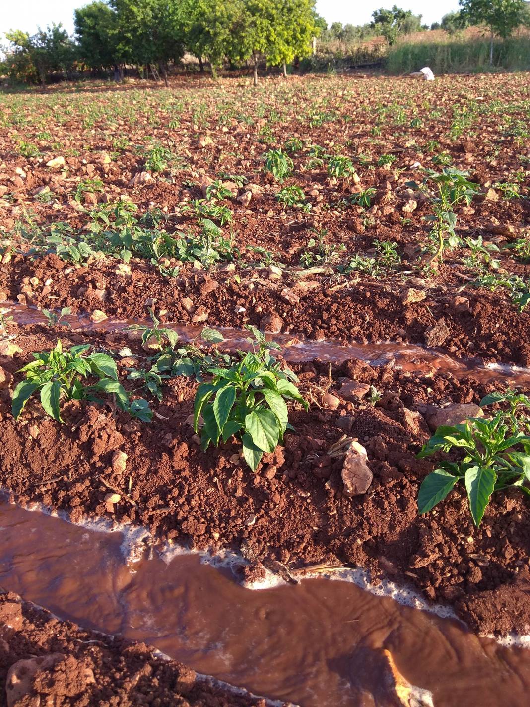 Oğuzeli Yakacık Köyü Resimleri 13