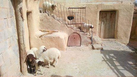 Oğuzeli Yakacık Köyü Resimleri 8