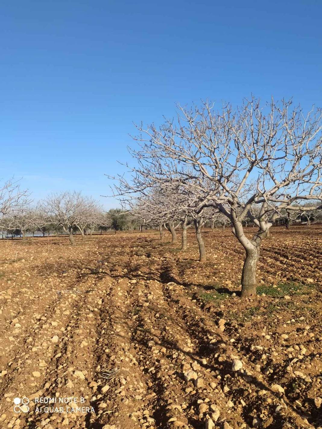 Oğuzeli Yukarıgüneyse Köyü Resimleri 1