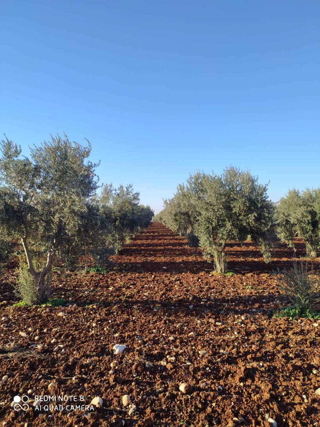 Oğuzeli Yukarıgüneyse Köyü Resimleri 2