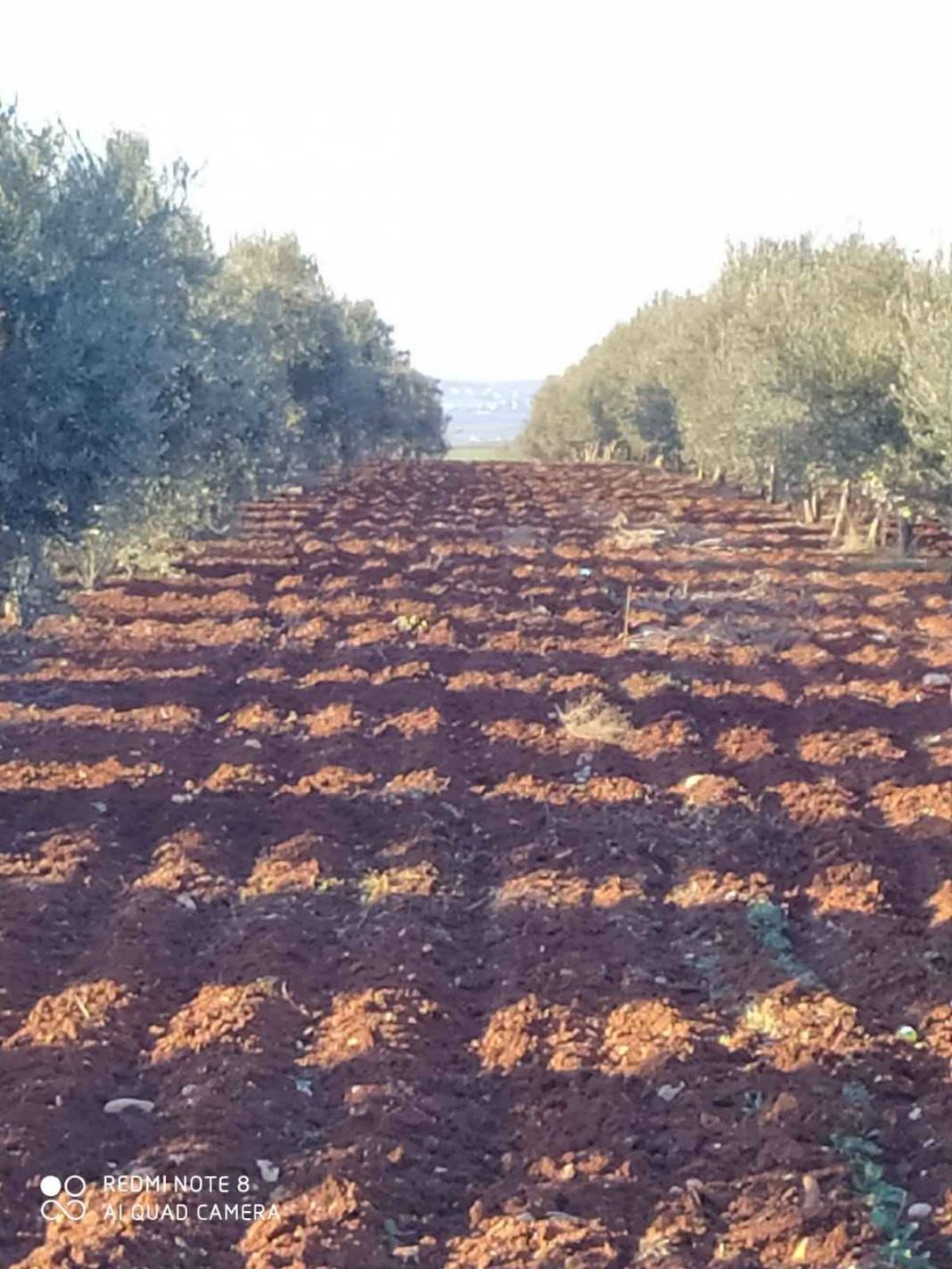 Oğuzeli Yukarıgüneyse Köyü Resimleri 3