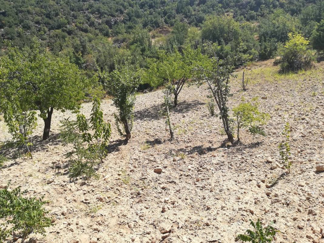 Şehitkamil Acaroba Köyü Resimleri 5